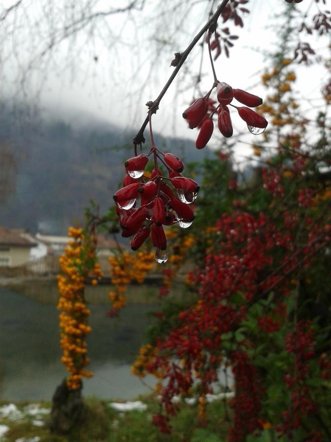 Boeritza Hotel Complex Vladaya 外观 照片